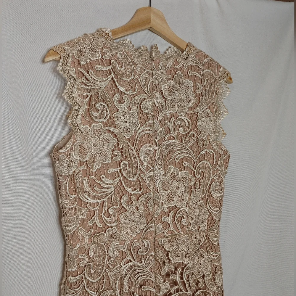 Dress The Population Cardea Champagne Lace Floral‎ Midi Dress M Sleeveless Crew